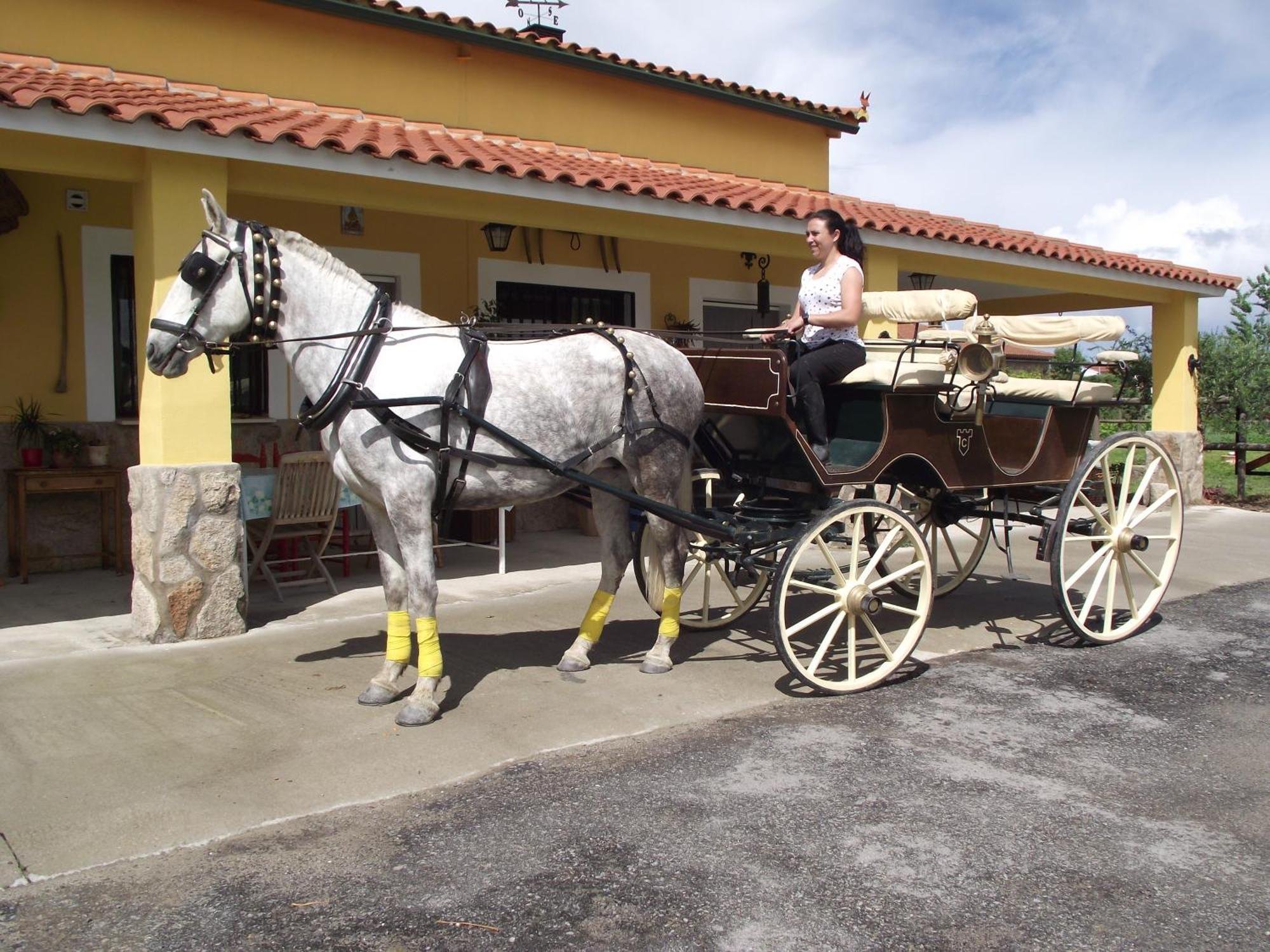 La Posada Hipica Rosalejo  Εξωτερικό φωτογραφία