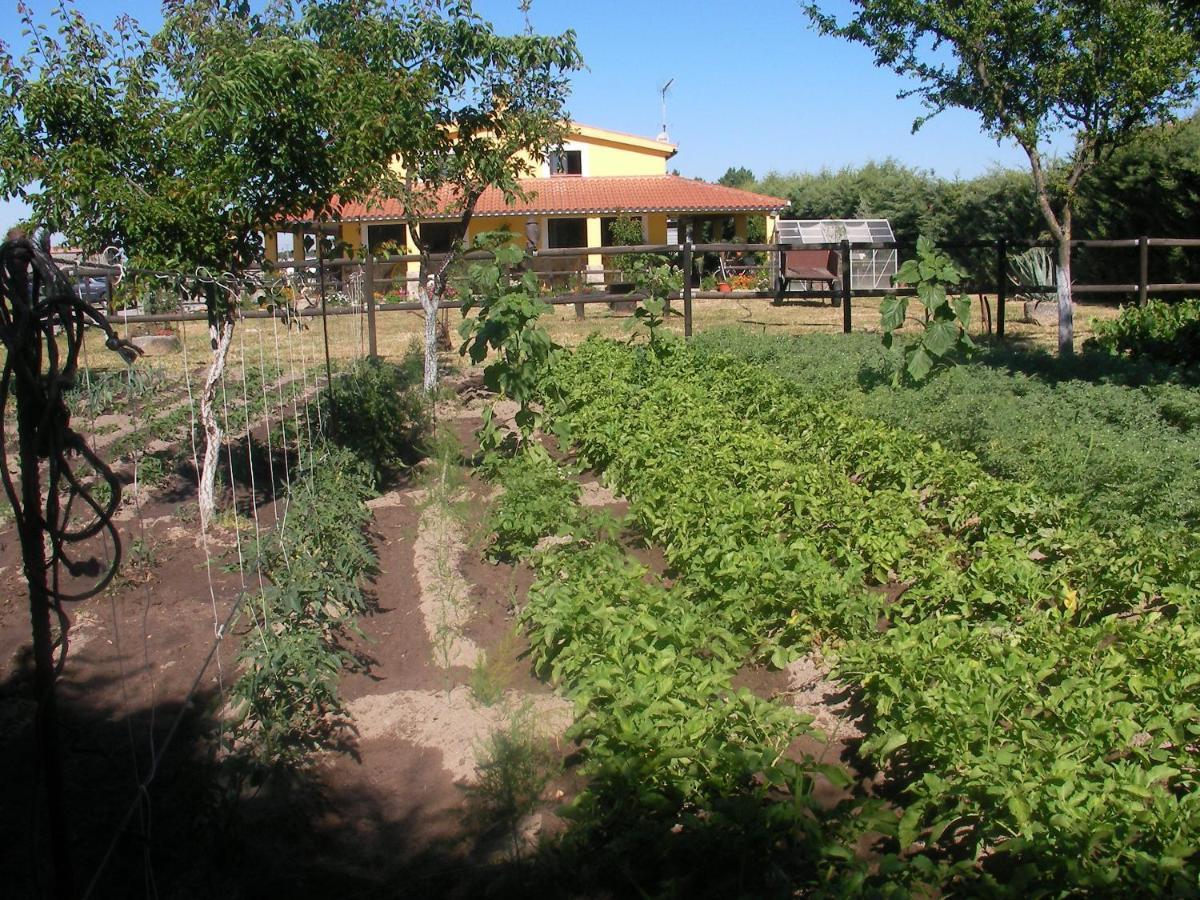 La Posada Hipica Rosalejo  Εξωτερικό φωτογραφία